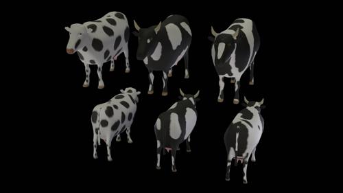Cows preview image